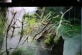 D_20140126 -183206 _IMG_9850